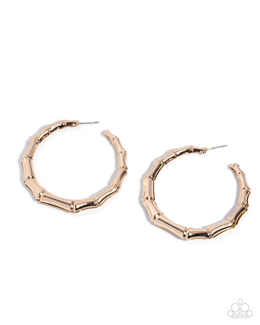 Tailored Tribute Gold hoop earrings